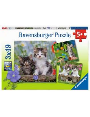 Puzzles 3x49 p - Chatons tigrés