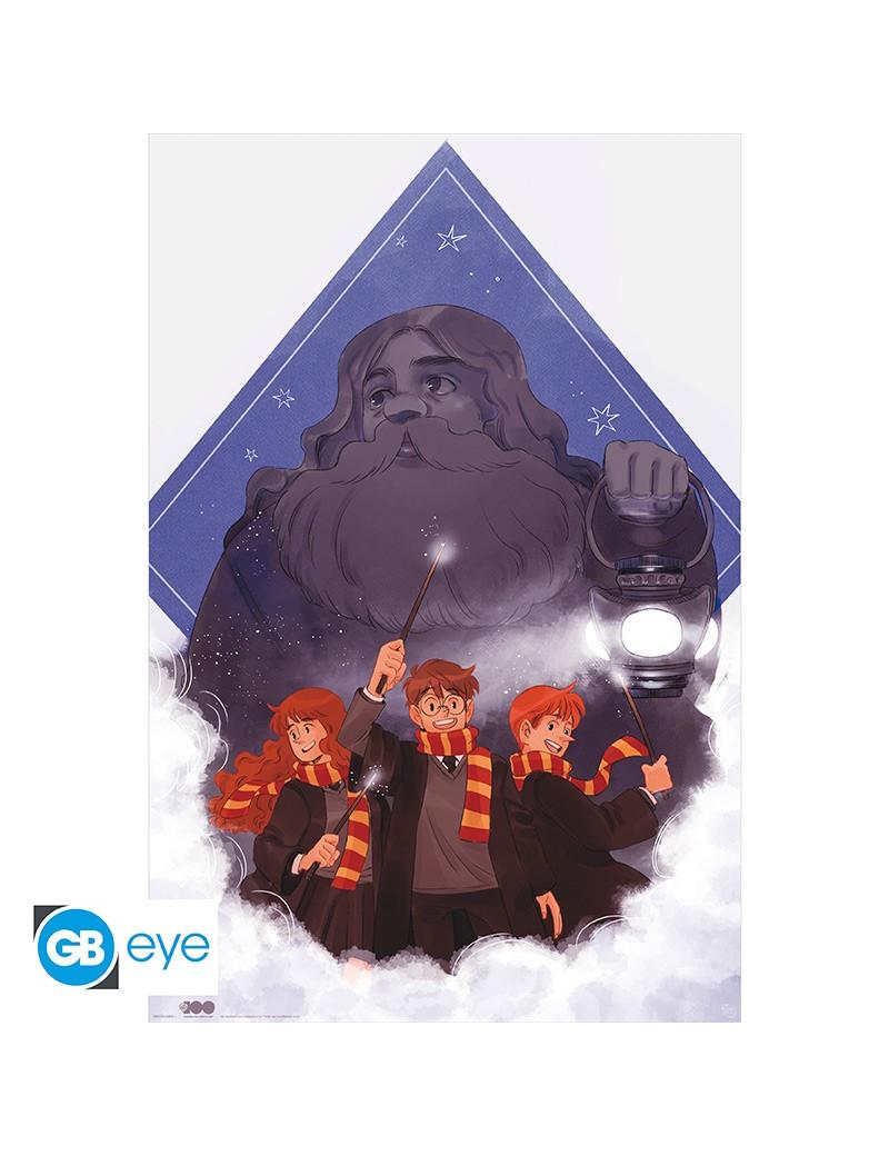 HARRY POTTER - Poster "Hagrid - Warner 100th" roulé filmé (91.5x61)