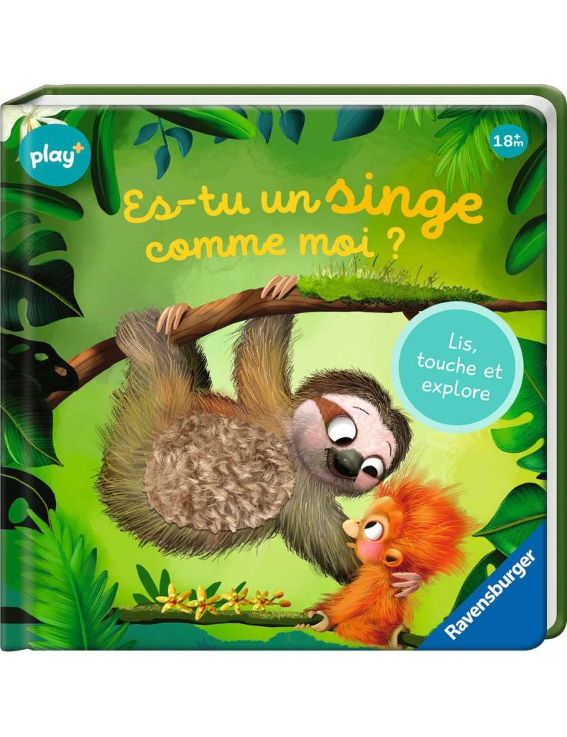 Play+ Es-tu un singe comme moi?