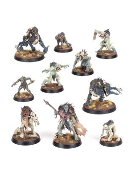 WARCRY : Royal beastflayers