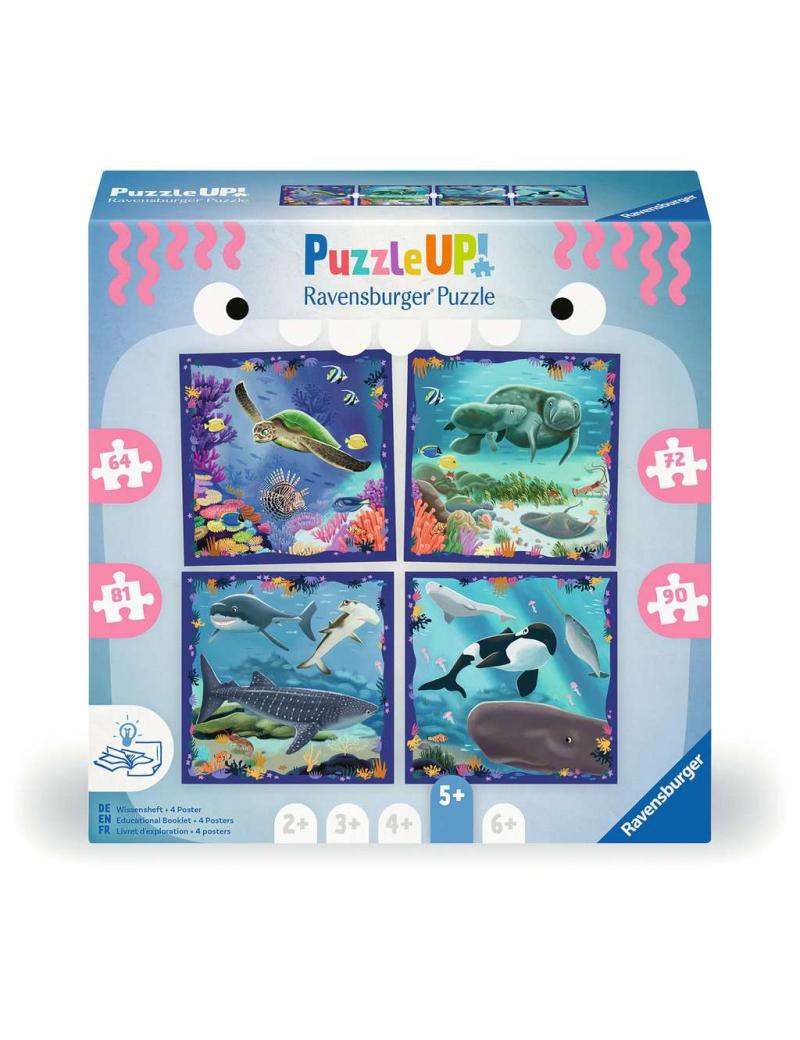 Puzzle Up! Les animaux marins