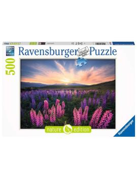 Puzzle 500 p - Les lupins (Nature editio