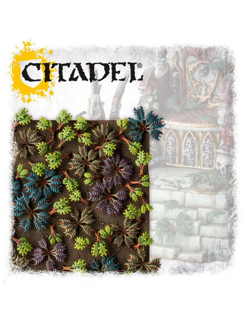 CITADEL BARBED BRACKEN