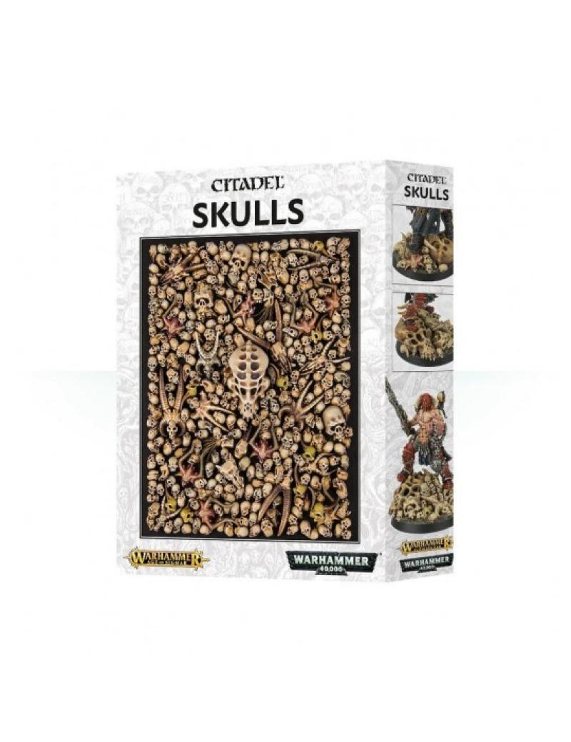 CITADEL SKULLS