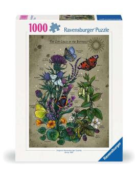 Le cercle de vie du papillon