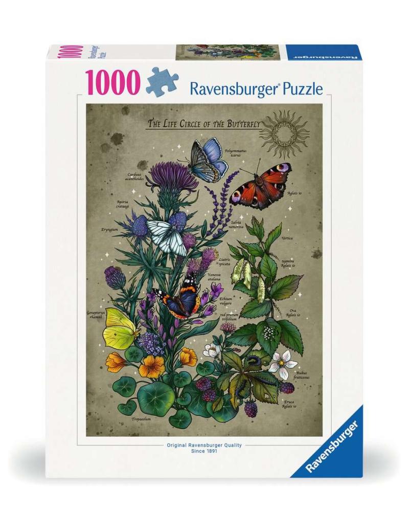 Le cercle de vie du papillon