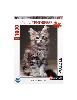 Le chaton Maine Coon