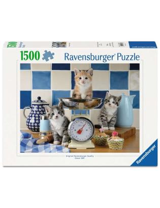 Chatons dans la cuisine