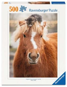 Le petit cavalier (Collection bébés anim