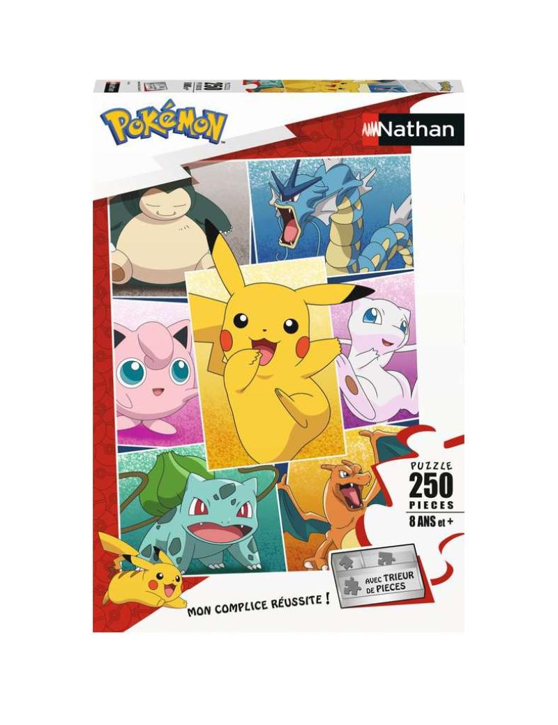 Nathan puzzle 250 p - Types de Pokémon