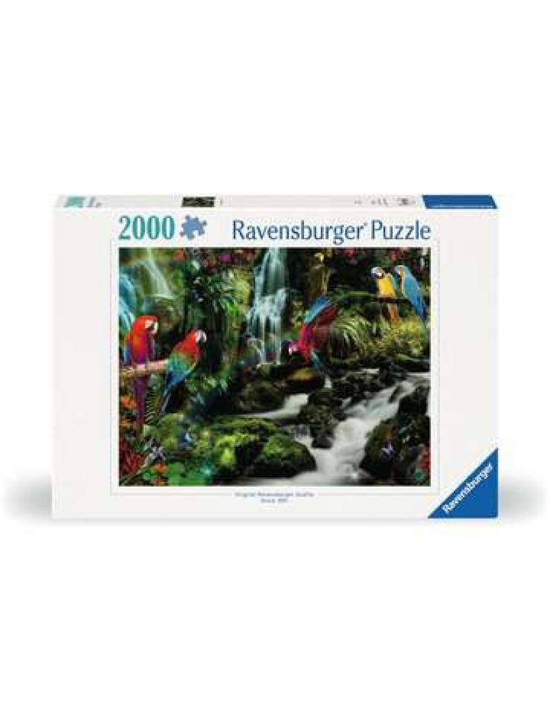 Puzzle 2000 p - Le paradis des perroquets