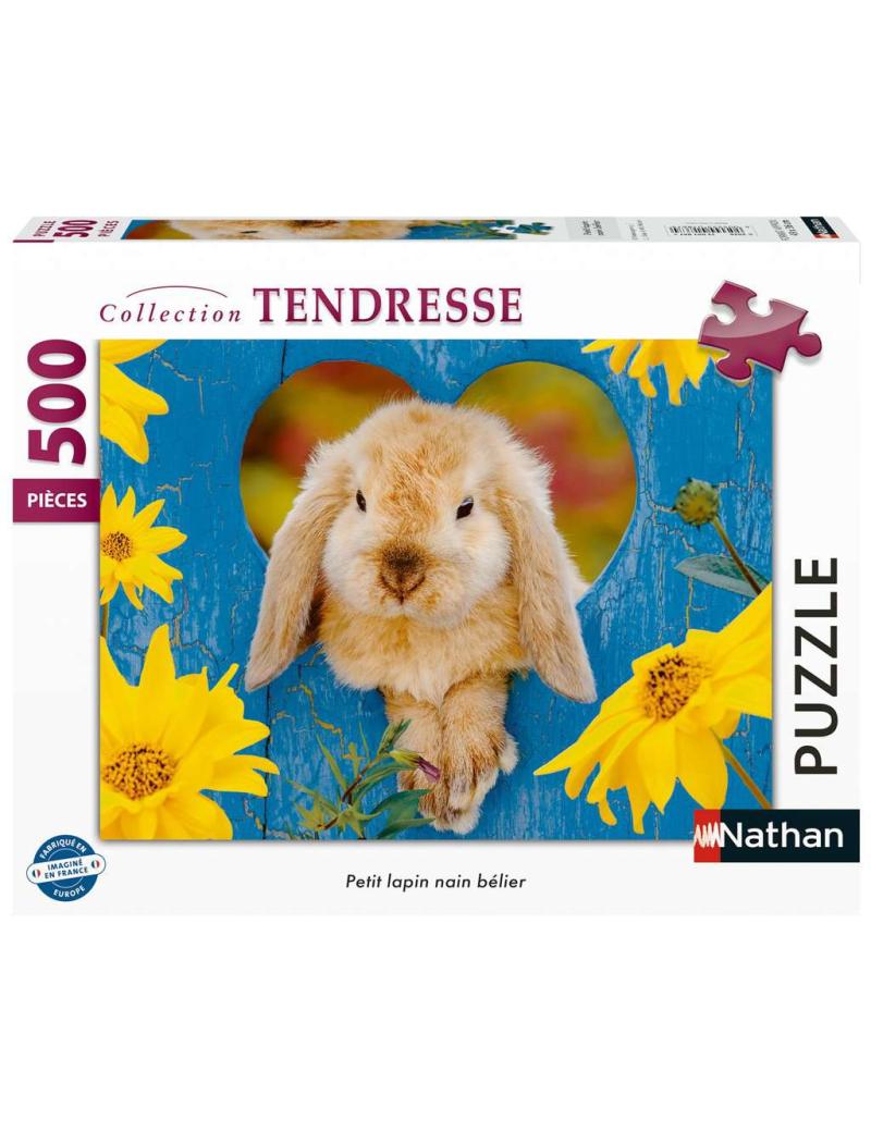 Petit lapin nain bélier