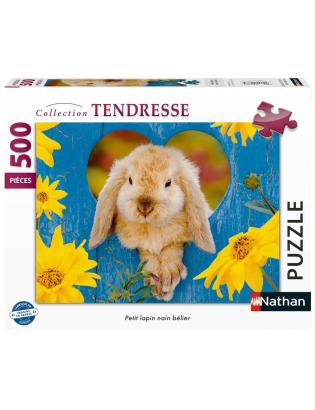 Petit lapin nain bélier